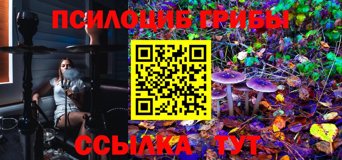 Янаул  Галлюциногенные грибы Psilocybine cubensis  Вход с VPN 